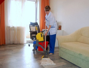 domestic cleaning