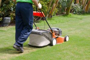 Grass cutting