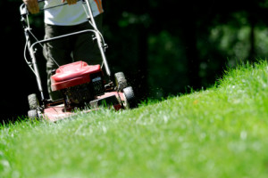 lawn mowing